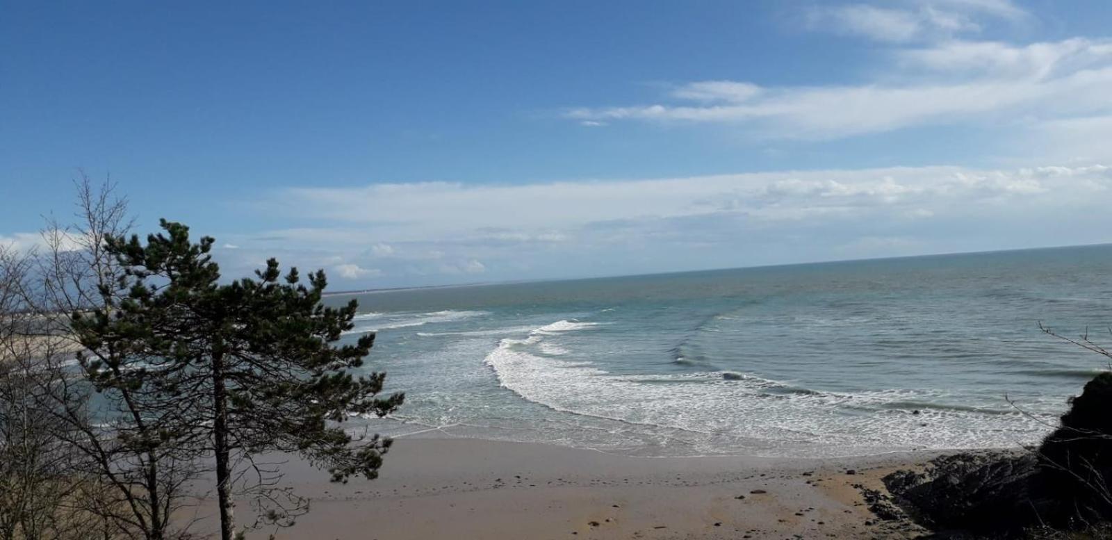 Les Sables D'Or - Joli T3 200M De La Plage Barneville-Carteret Extérieur photo